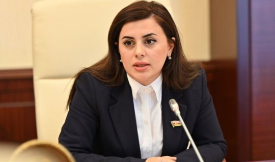 Uşaqların elmi tədqiqatlara cəlbi qanunla tənzimlənməlidir