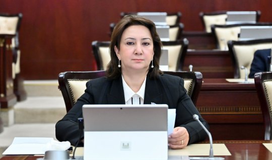 Azərbaycan&ndash;Efiopiya münasibətlərində yeni mərhələ