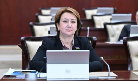 Azərbaycan qadını dövlətçilik, müdriklik və tərəqqi simvoludur