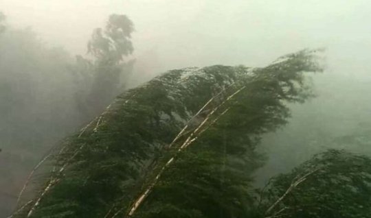 Azərbaycanda güclü külək əsəcək - XƏBƏRDARLIQ