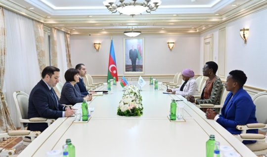 Spiker&nbsp;Tulia Akson ilə görüşüb