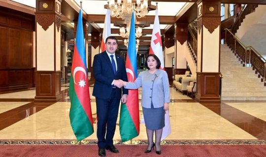 Sahibə Qafarova gürcüstanlı həmkarına başsağlığı verdi