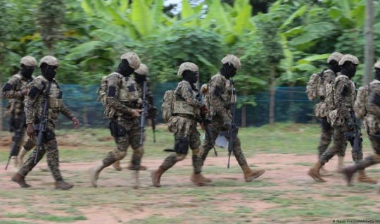 Terror təşkilatı yaradanlara 14 ilədək həbs təklif olunur&nbsp;