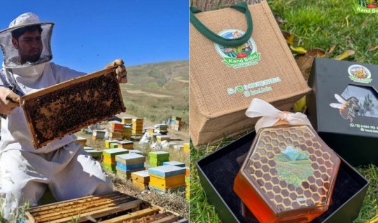 Özbəkistandan gətirilən arı ailələri təhlükəlidir - XƏBƏRDARLIQ&nbsp;