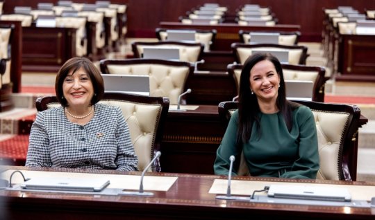 Sahibə Qafarova&nbsp;Litva Baş naziri ilə görüşdü