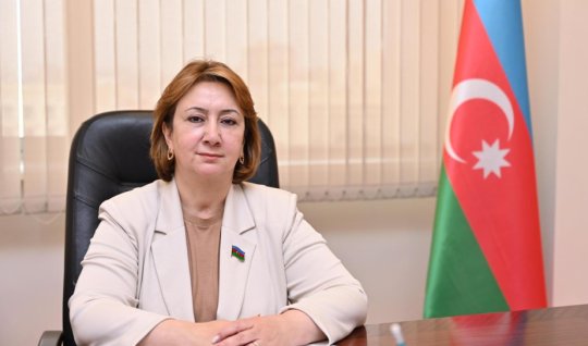 Mehriban Vəliyeva: "Belçika və Niderlandın&nbsp;qətnamələri&nbsp;birtərəfli və qeyri-balanslı yanaşmadır"