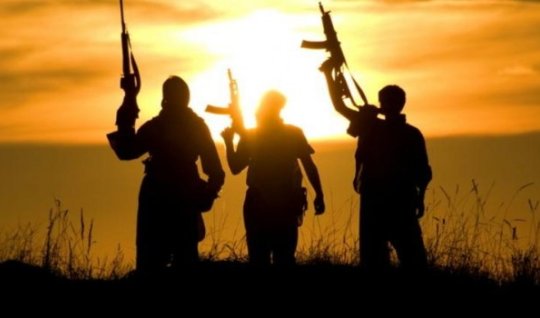 Terror təşkilatı yaradanlar 14 ilə qədər həbs ediləcək