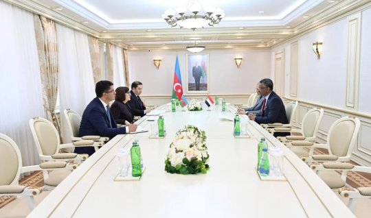Sahibə Qafarova Sudanın səfiri ilə görüşüb