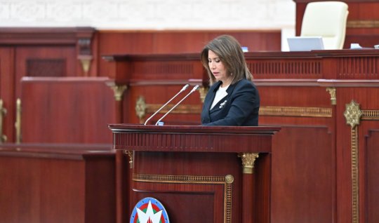 Bahar Muradova Milli Məclisdə hesabat verəcək