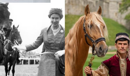 Karabakh horse presented to Elizabeth II during the Cold War&nbsp;