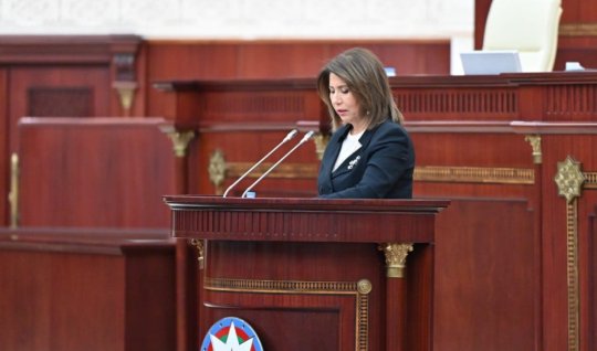 Erkən evliliklər və azyaşlı anaların sayı 50 faizə yaxın azalıb - Komitə sədri