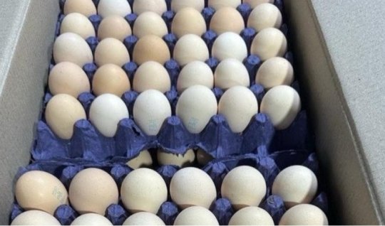 Yumurtanın qiyməti kəskin ucuzlaşdı - 1 qəpik oldu