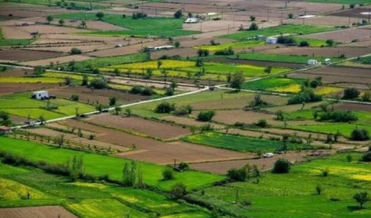 Vərəsələrin nəzərinə: Bölünə bilməyən&nbsp;torpaqlar&nbsp;satılacaq