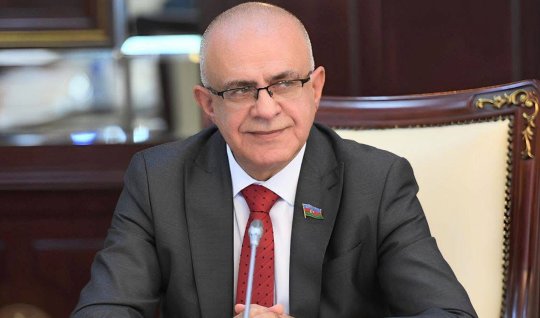 Elçin Mirzəbəyli: Prokuror psixi diaqnoz qoymur, yekun qərarı məhkəmə verir