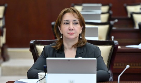 Kraudfandinq operatorları üçün ali təhsil tələbi yenidən nəzərdən keçirilməlidir