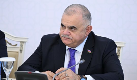 Arzu Nağıyev: Sosial şəbəkələr uşaqlar üçün ciddi təhlükəyə çevrilib