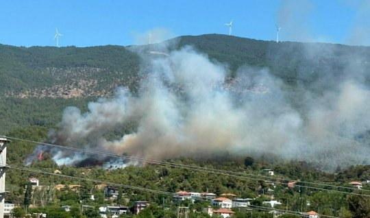 Türkiye'de şiddetli orman yangınları devam ediyor
