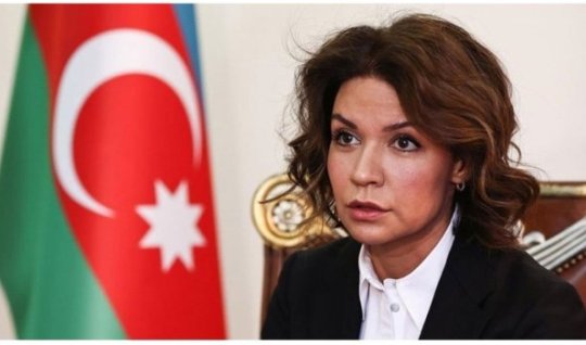İlk dəfə səfir təyin edilən Nərminə Mustafayeva kimdir? - DOSYE