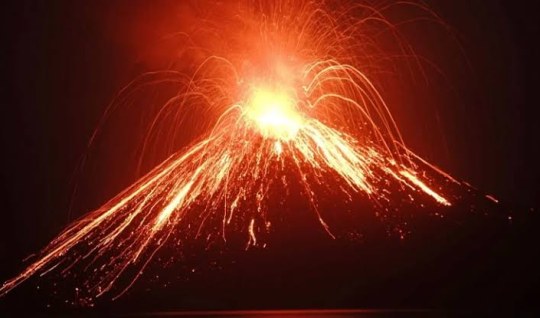 Those who saw it were horrified - VIDEO