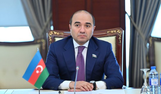 Kamran Bayramov: "Proseslərin vahid mərkəzdən idarə olunduğu aydındır"