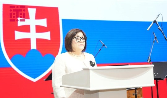 Sahibə Qafarova: Azərbaycan-Slovakiya əlaqələri yüksək səviyyədə inkişaf edir