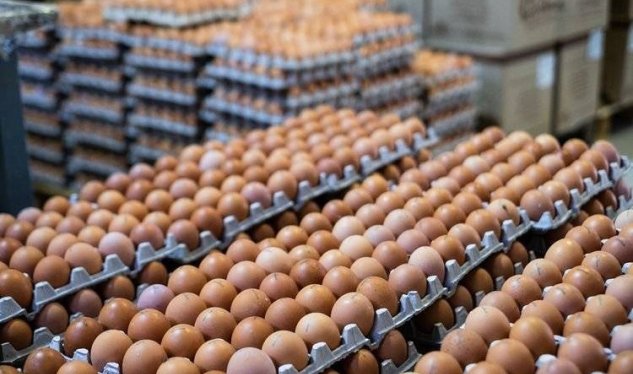 Rusiyanın yumurta böhranı: Biznesmenlər daha çox pul qazanıb...