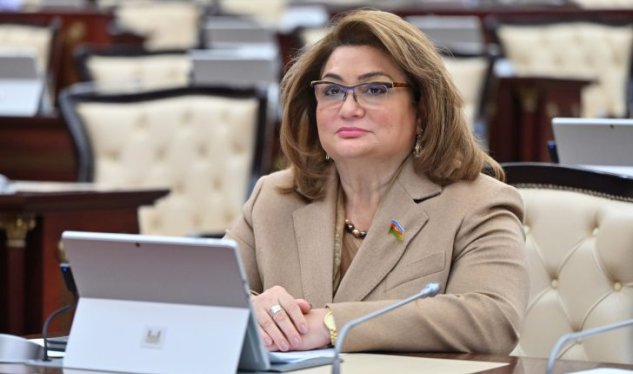 Prezidentin təltif etdiyi komitə sədri: Bundan sonra daha da çox işləməliyik