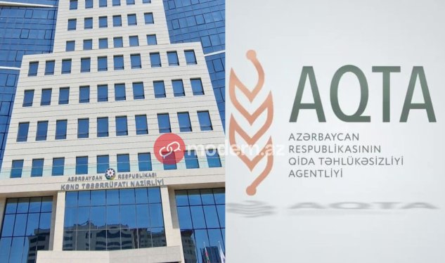 Dabaq xəstəliyi: Heyvanları kim peyvəndləməlidir? - Qurumlar məsuliyyəti bir-birinin üzərinə atdı