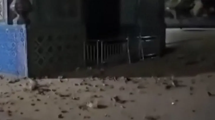 Zəlzələ nəticəsində Göy məscid də dağılıb - VİDEO