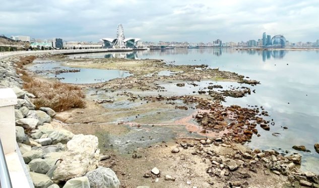 Xəzərin quruması yalnız Volqa məsələsi deyil: Dənizi məhv edən 3&nbsp;FAKTOR