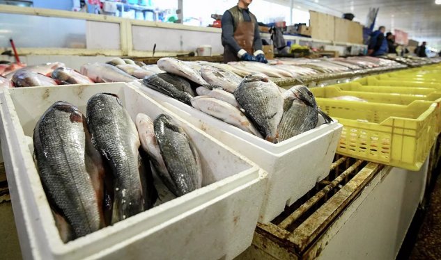 Balıq vergidən azad edilir, kürü&nbsp;yox &ndash; Deputat səbəbləri açıqladı