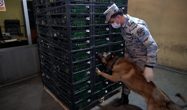 Astara Gömrüyyündə əməliyyat: 148 kiloqramdan artıq narkotik aşkarlandı