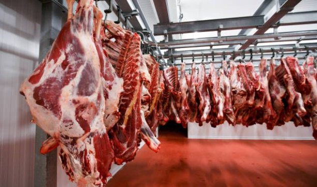 Bakıda satılan "monqol quzuları" təhlükəsizdir? - AÇIQLAMA