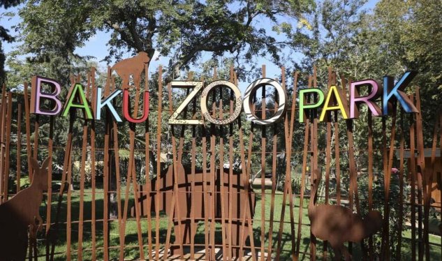 Bakı Zooparkı niyə panda ala bilmir... - Direktor müavini açıqladı