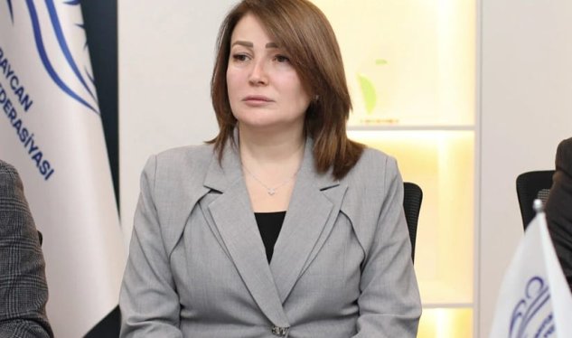 Sabiq deputata yeni vəzifə verildi