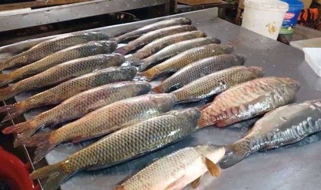 Balıq bahalaşdı