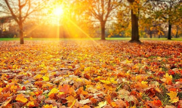 Температура резко повышается - Завтра будет 20 градусов тепла