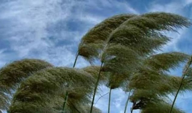 Külək güclənəcək - XƏBƏRDARLIQ