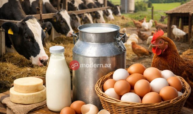 Subsidiya var, məhsuldarlıq yox: İdxaldan asılılıq artır