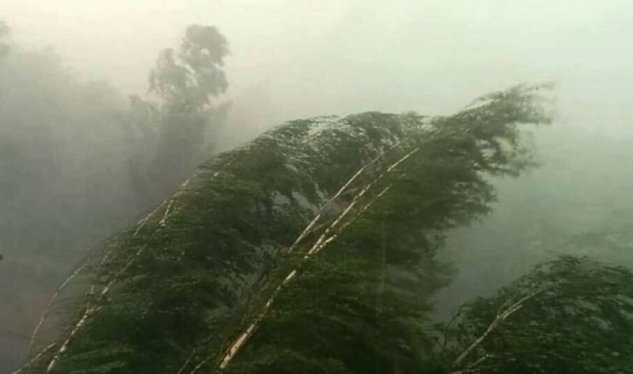 Azərbaycandü güclü külək əsəcək - XƏBƏRDARLIQ