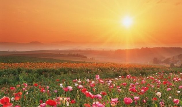 Sabah&nbsp;20 dərəcə isti gözlənilir