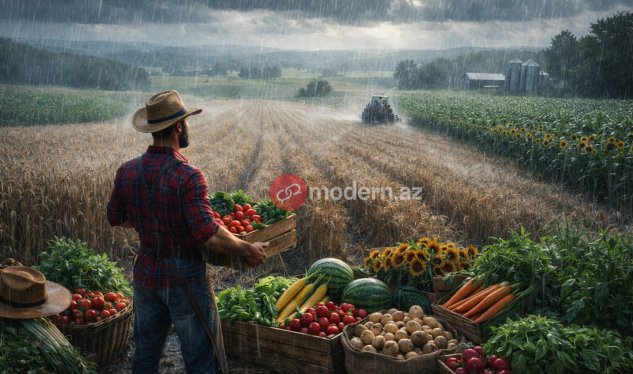 Dolu düşməsi 10 dəfə artıb: yağıntılar məhsuldarlığa necə təsir edəcək?&nbsp;