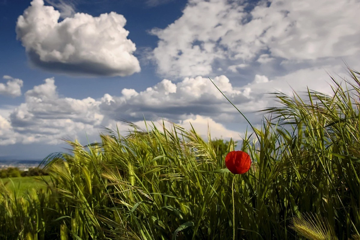 Sabah Bakıda yağış yağacaq