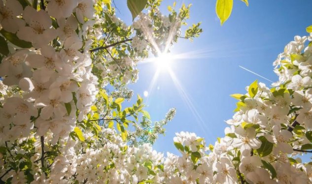 Sabah 23 dərəcə isti olacaq