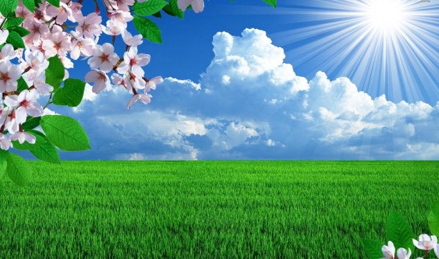 Yağışlı günlər geridə qalır, sabah 22 dərəcə isti gözlənilir