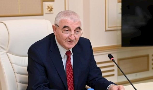 YAP növbəti dəfə Məzahir Pənahovu seçdi