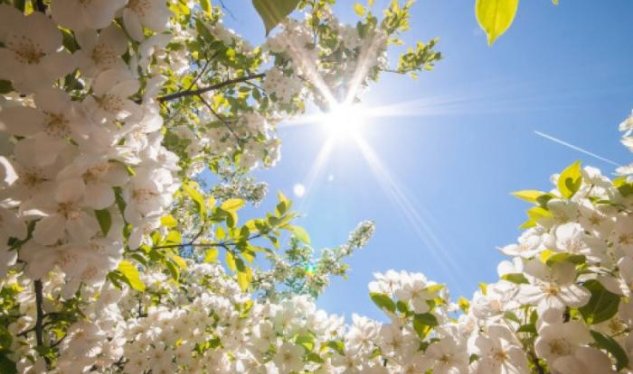 Bazar gününün hava PROQNOZU