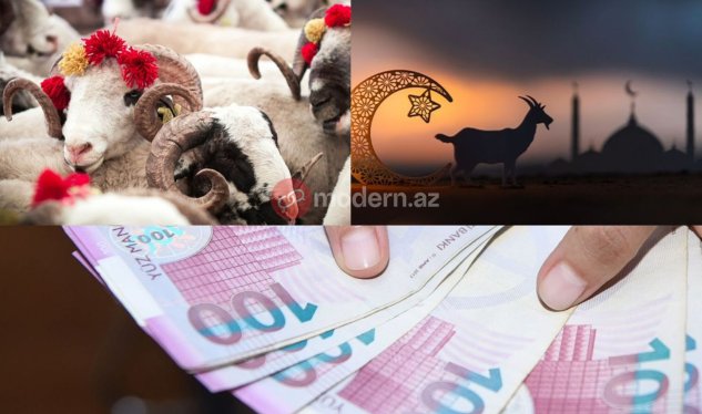 Qurban bayramı öncəsi ət qiymətləri niyə artır?
