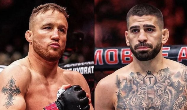 توپوریا شکست خورد - شوک در UFC