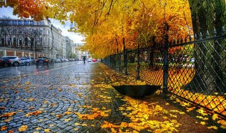 Oktyabrın ilk günlərində temperatur 5-8 dərəcə enəcək